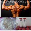 99.5% Purity Pharmaceutical Chemicals Mesterolone Proviron Raw Steroid Powder for Gym Trainner CAS 1424-00-6